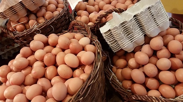 Huevos de Campo
